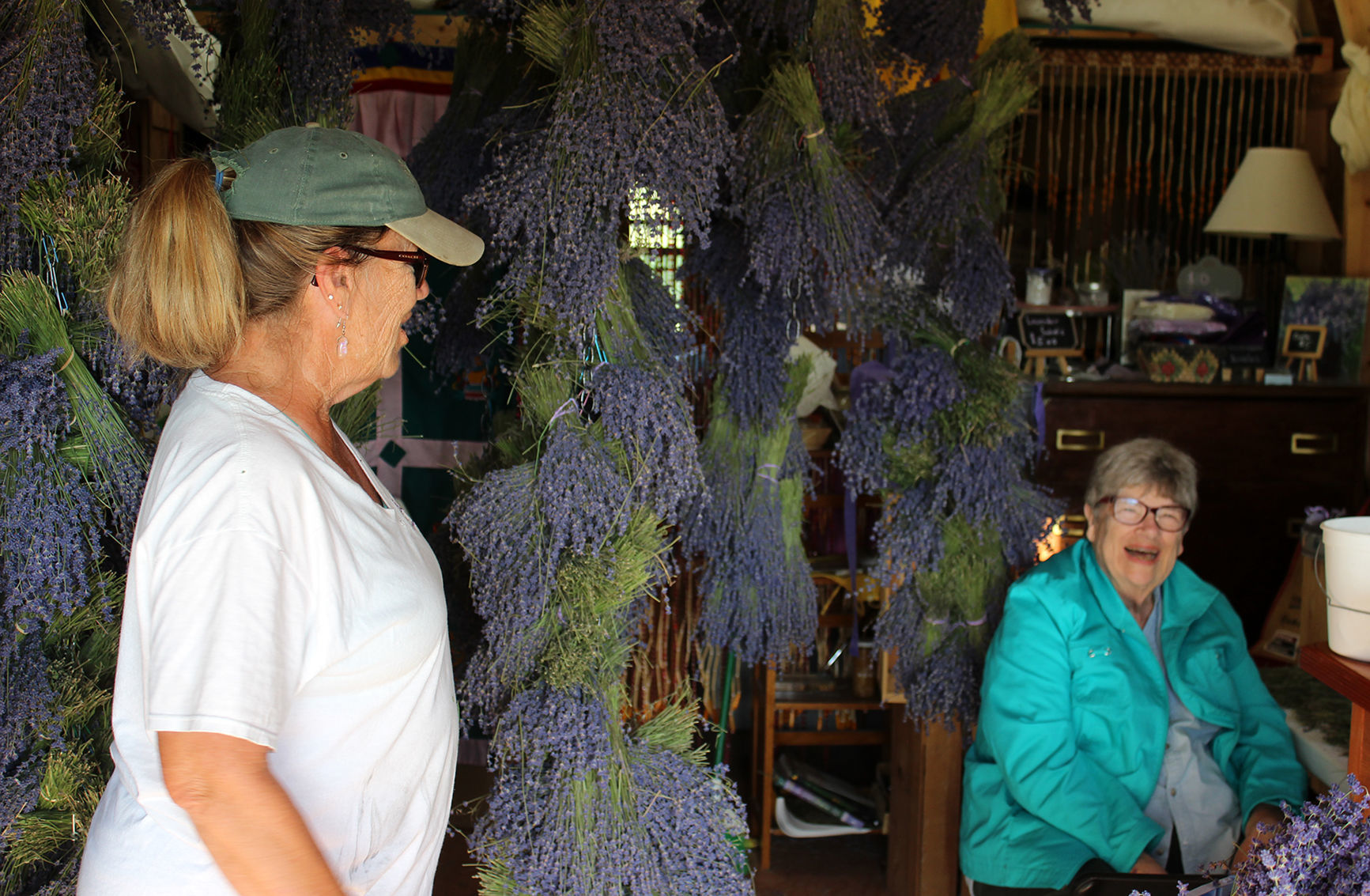 Lavender shed drying